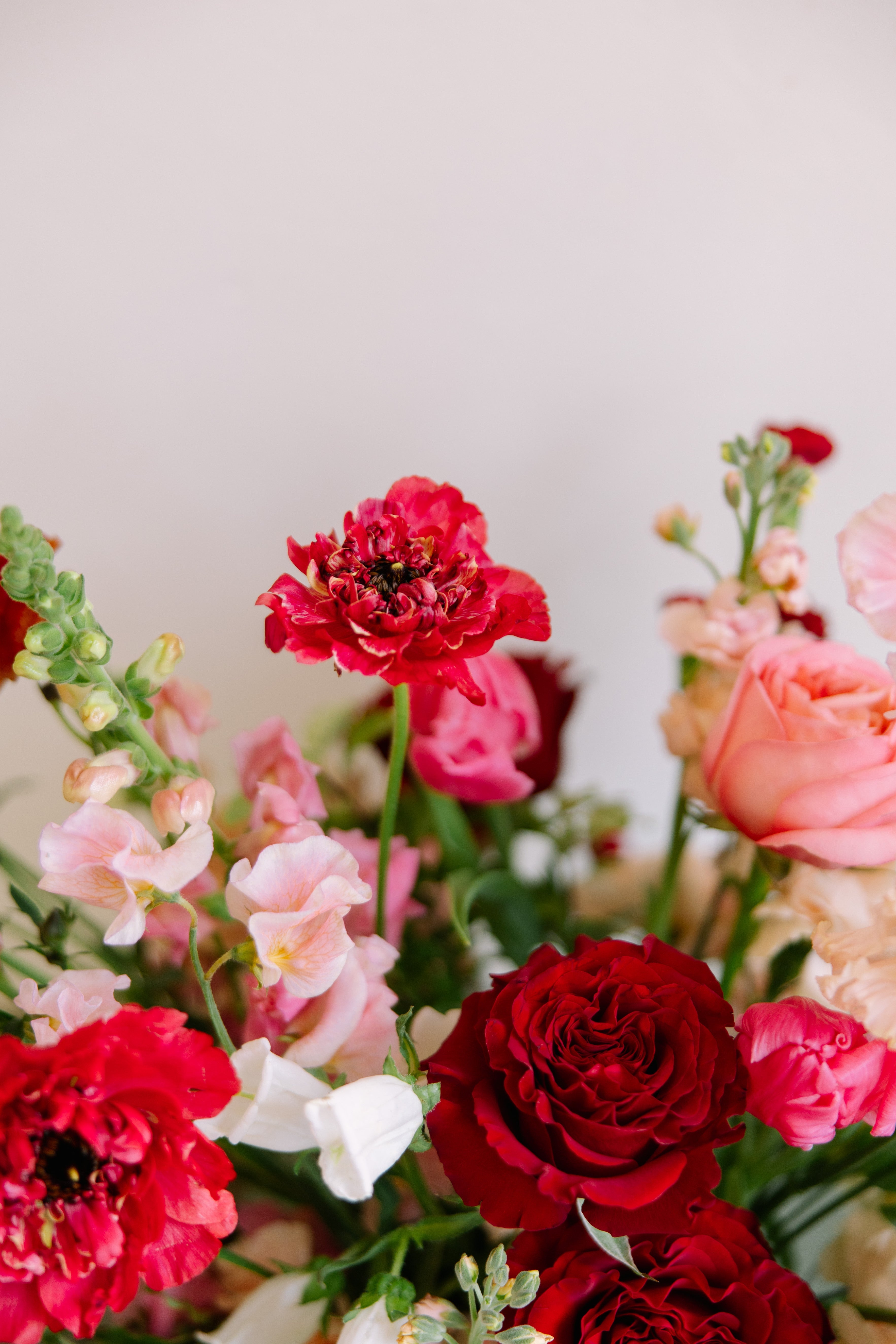 The Valentine's Day Shop