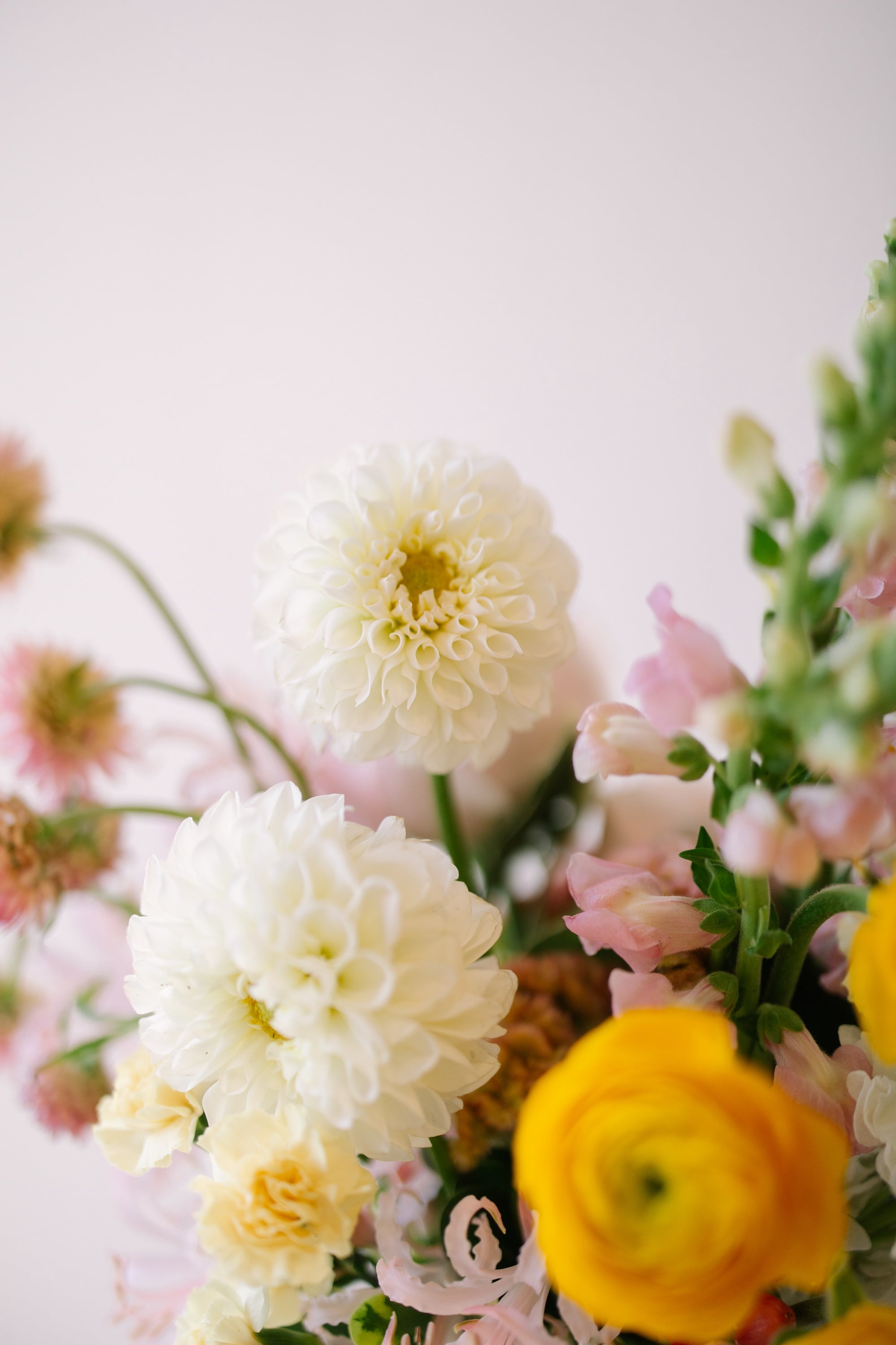 Flower Shop